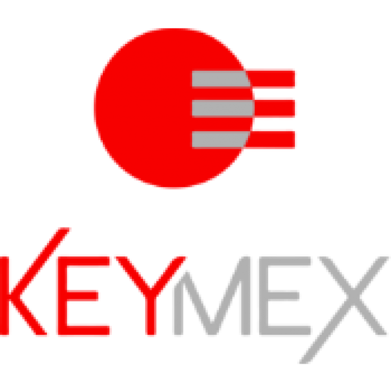 Keymex logo