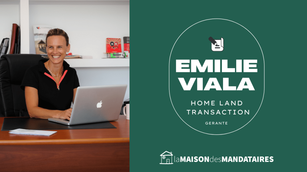 Home Land Transaction, Emilie Viala 
